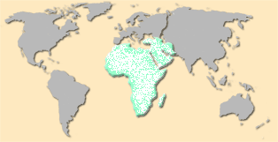 Middle East & Africa