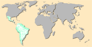 South America